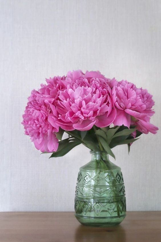 Как сделать, чтобы пионы дольше стояли