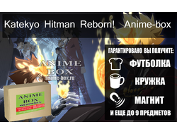 Katekyo Hitman Reborn! Anime-Box (Ограниченный тираж)