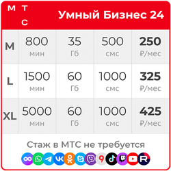 МТС Умный Бизнес 24