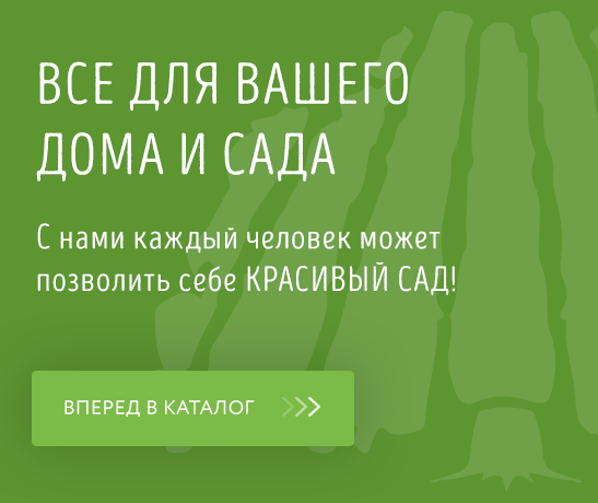 Купить саженцы в Казани недорого, продажа саженцев в интернет-магазине ...