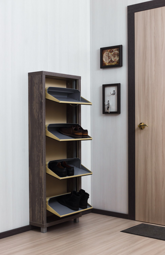 Обувница Айрон-4 (фасад стекло черное)