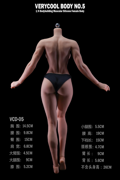 ПРЕДЗАКАЗ - Мускулистое бесшовное женское тело - Коллекционная фигурка 1/6 Silicone Female Body Bodybuilding Muscular Physique Natural Skin Tone (VCD-05B) - VERYCOOL  ?ЦЕНА: 9900 РУБ.?