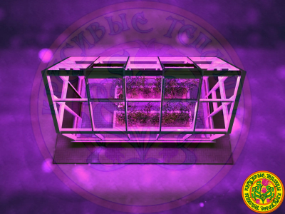 Зимняя теплица ДУНКАН II в классическом английском стиле с двускатной крышей размером 3000 х 6000 мм