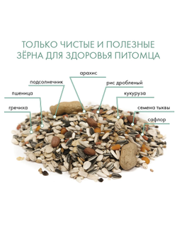 Fiory (Фиори) Pappagalli корм для крупных попугаев, 700 г