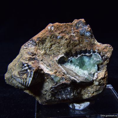 Анапаит, кристаллы в полости ракушки. 55*52*33мм