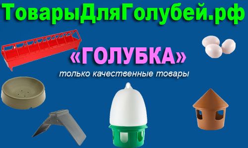 Товары Для Голубей Интернет Магазин Тула
