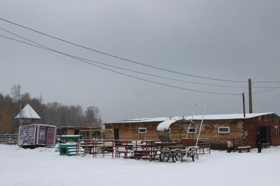 Конный клуб "Добрая лошадка"