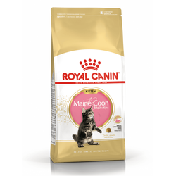Royal Canin (Роял Канин) Maine Coon Kitten Сухой корм для котят породы мейн-кун в возрасте до 15 месяцев, 4 кг