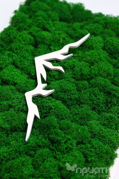 ЖИВАЯ ЭКО-КАРТИНА 1037