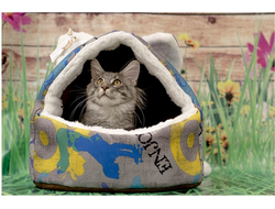 ДОМ “ПУШОК”