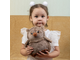 Сова Совунья 22 см