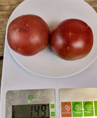 Томат Гном Гордость Перта (Dwarf Perth Pride)