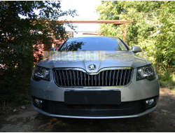 Защита радиатора Skoda Superb 2013-2015 black PREMIUM