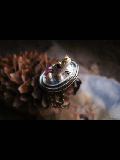 "Дневной светлячок Квакази", волшебное кольцо с лягушкой и натуральными родолитами