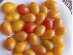 Томат черри Субмарина блаш (Submarine Blush)