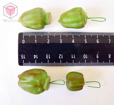 Набор молдов , вайнеров и каттеров "Георгин"