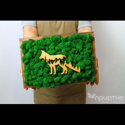 ЖИВАЯ ЭКО-КАРТИНА 1027