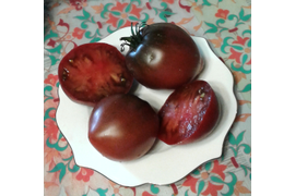 гном Пурпурное сердце