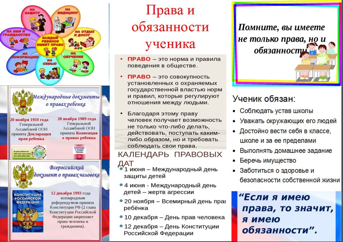 Государство и право для школьников. Буклет по праву для школьников.