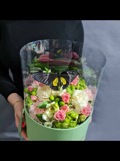 Букет в коробке с бабочкой №112