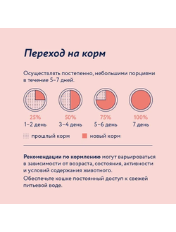 Florida (Флорида) влажный корм (пауч) для кошек с чувствительным пищеварением, лосось в соусе 85 г