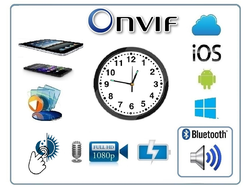 IP видеоняня WiFi (моно колонка Bluetooth) с аккумулятором с DVR, Full HD 1Mp (HDSmartIPC)