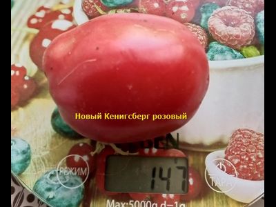 Томат Новый Кенигсберг розовый