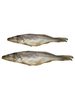 Судак вяленый