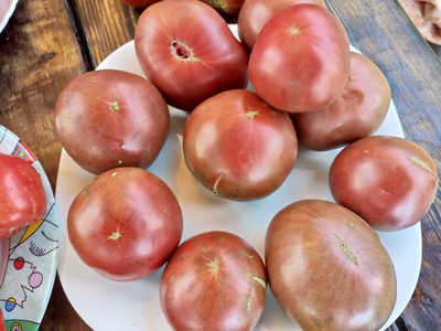 Томат Париж (Paris)