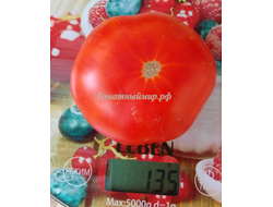 Томат Сладкая Скарлет (Сладкий Алый гном, Dwarf Sweet Scarlet), США