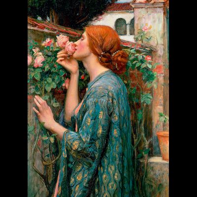 D0567 Душа розы