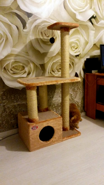 №145 Домик для кошки Мега  +