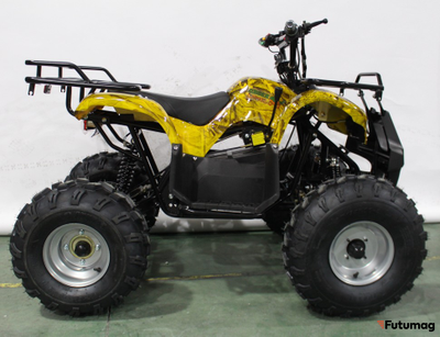 Квадроцикл GreenCamel Atakama T220 (48V 1000W R8 Дифференциал) пониженная