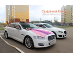 Свадебный Кортеж автомобилей Jaguar XJ и XF.