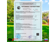 Уличные качели для детей 2,4 м + гнездо D 1.м + комплект горка
