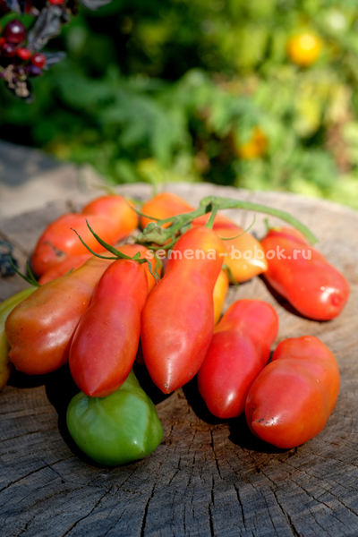 Томат Стрелка, 10 шт