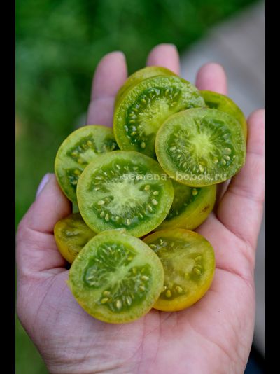 Томат Гном Beautiful Ones (Красотки), 10 шт