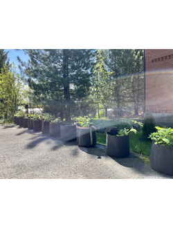 Кашпо 21 литра. Умный тканевый горшок Гроубэг