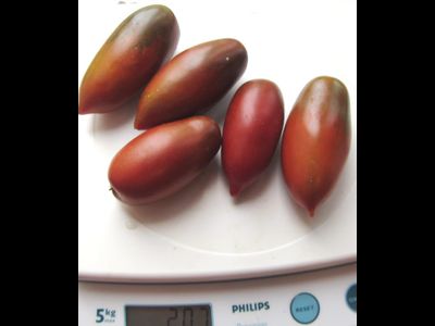 Томат Сосулька черная