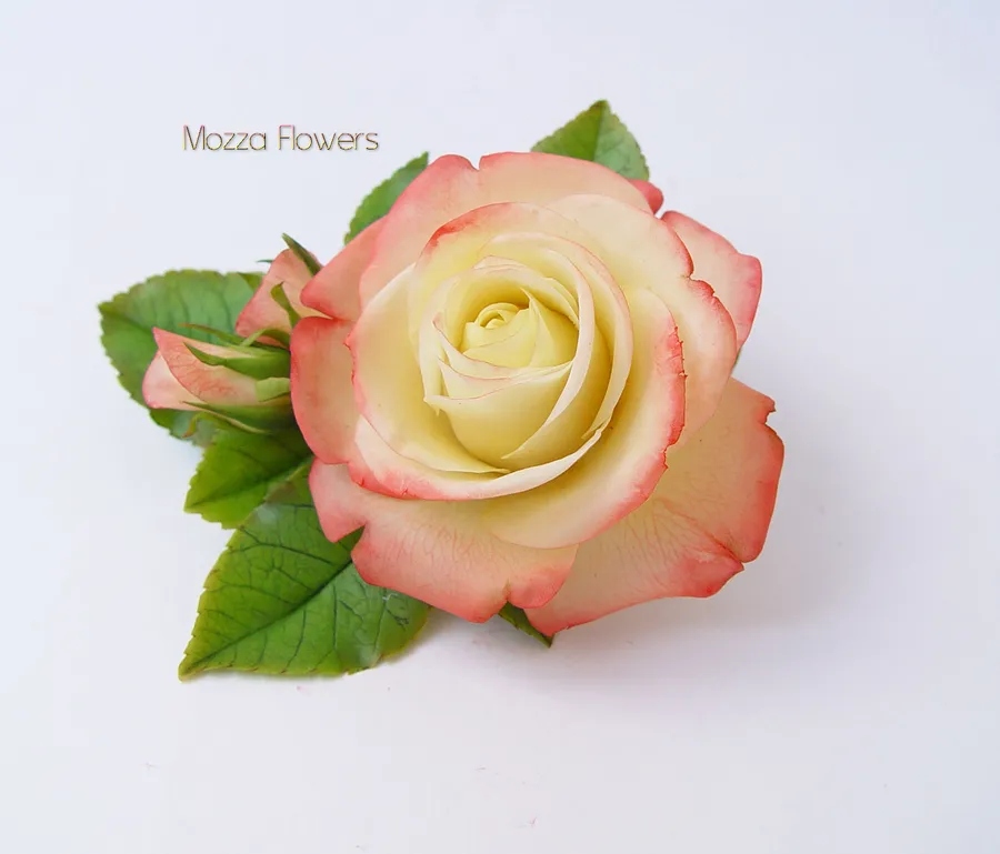 Зажим с розой "Gloria Day"