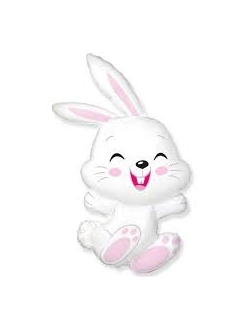 Зайка веселый (копия)