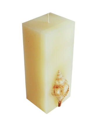 Морская свеча с раковиной 21,5 см