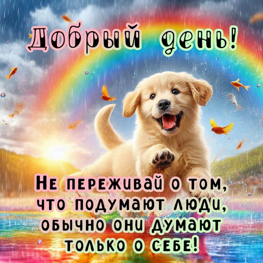 Открытка добрый день с весёлой собакой в луже