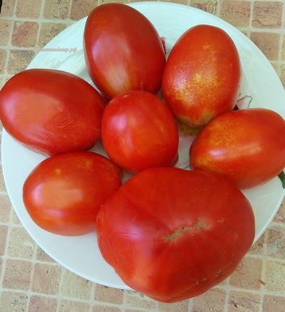 Томат Де Барао гигант