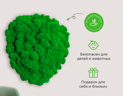 ЖИВАЯ ЭКО-КАРТИНА 1040