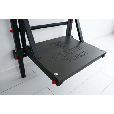 Шведская стенка Ferrum Force FR7 купить в Воронеже