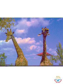 Групповая экскурсия в сафари-парк "Тайган"