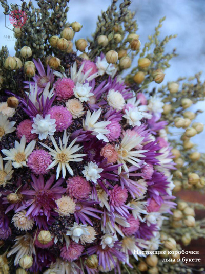 Силиконовый молд "Коробочки льна"