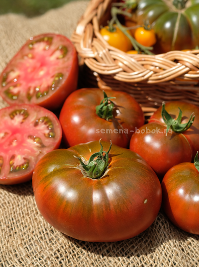 Томат Ярсон 16 (Jarson 16), 10 шт