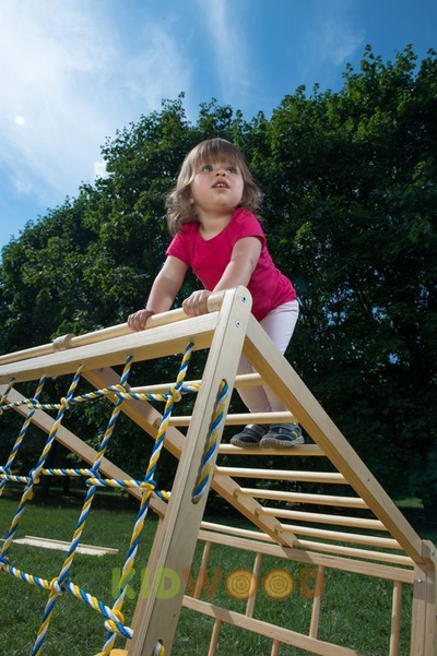 ДСК раннего развития KIDWOOD Домино оптима